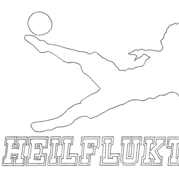 Heilfluktarin hesa vikuna