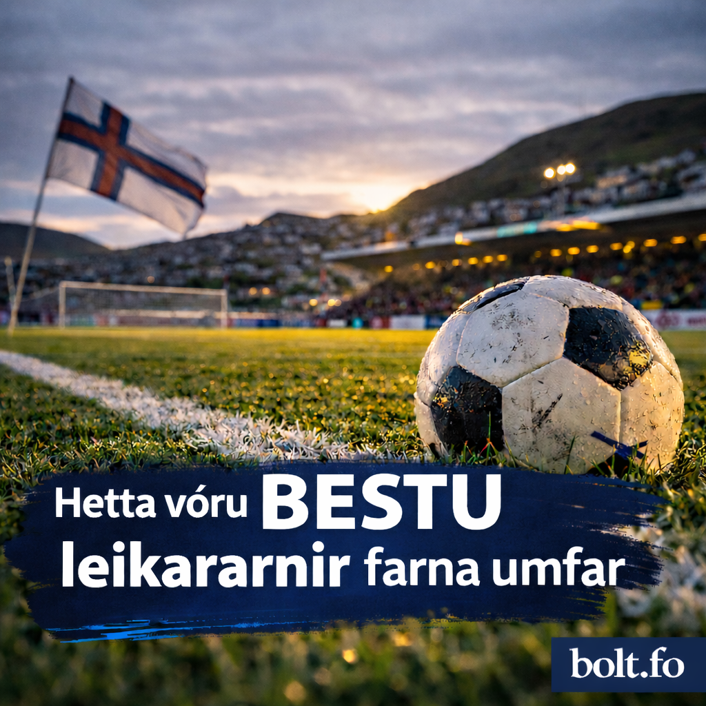 Vikuliðið frá 17. umfari