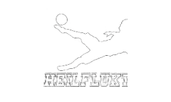 Heilfluktarin hesa vikuna