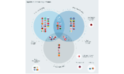 Yvirlit: Ymisku kappingarskipanirnar í Evropa