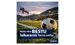 Vikuliðið frá 17. umfari