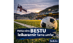 Vikuliðið frá 19. umfari