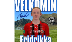 Landsliðsleikari til íslendskan fótbólt